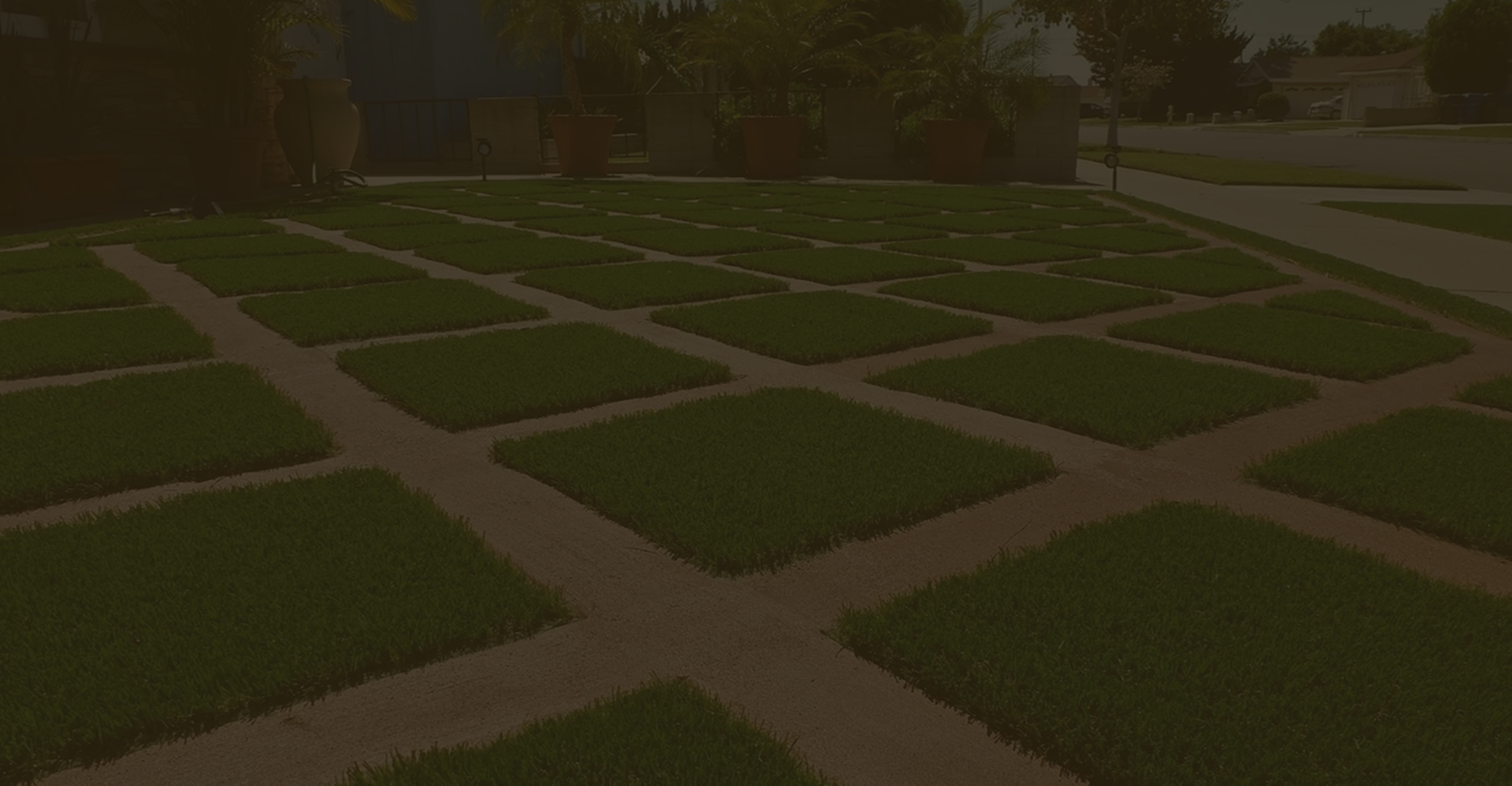 FAQ Section Background