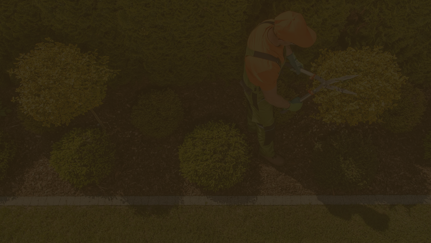 Vertical Slider Background