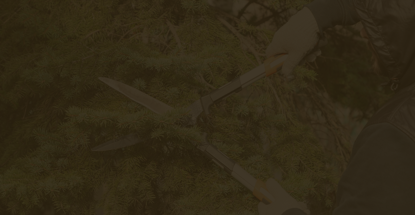 FAQ Section Background