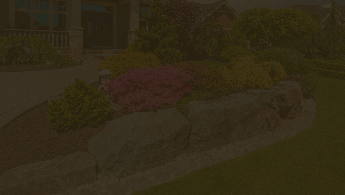 Vertical Slider Background