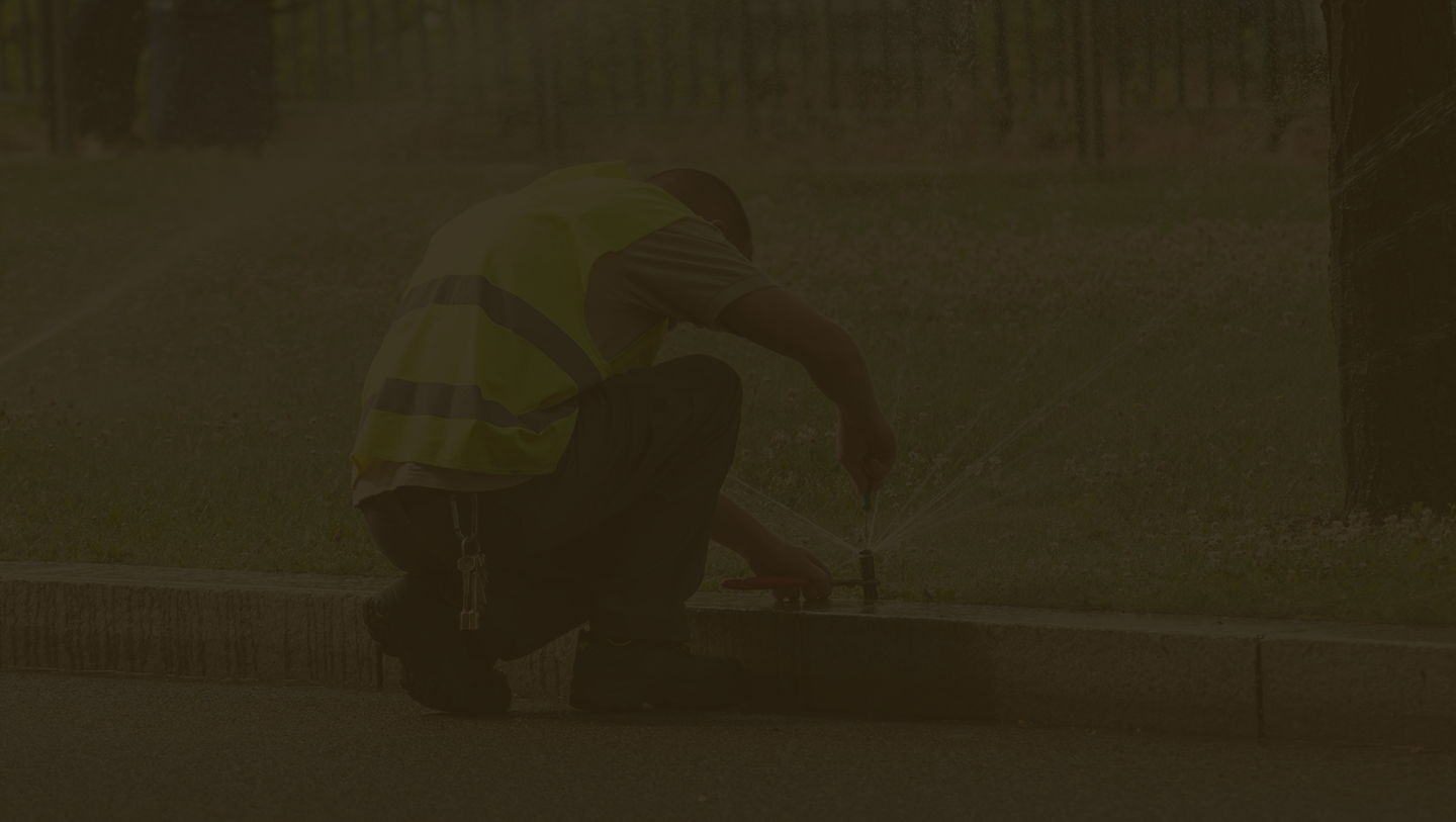 Vertical Slider Background